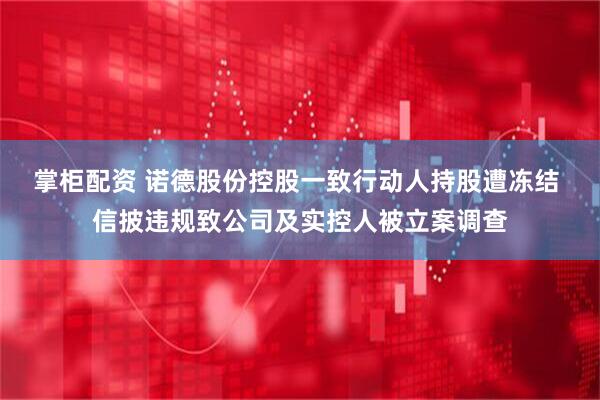 掌柜配资 诺德股份控股一致行动人持股遭冻结 信披违规致公司及实控人被立案调查